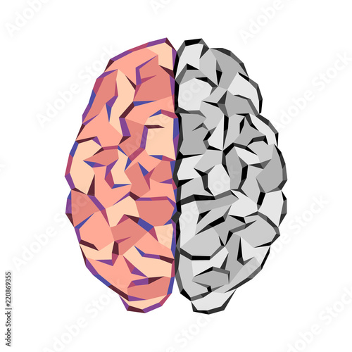 Brain abstract tringles