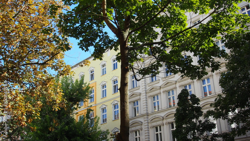 Fototapeta premium Zielony Berlin: stare fasady budynków w Mitte, drzewa uliczne