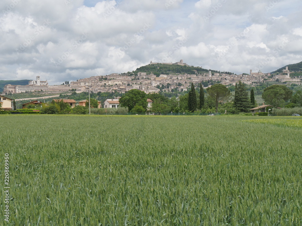 Naklejka premium panorama di Assisi da Santa Maria degli Angeli