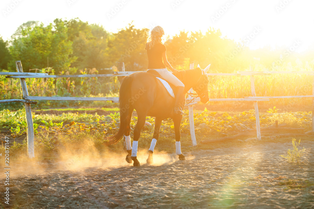 Obraz premium the rider rides a horse