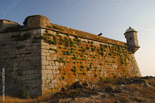 Muralha com canhão e torre de castelo português - Castelo do queijo no Porto, Portugal