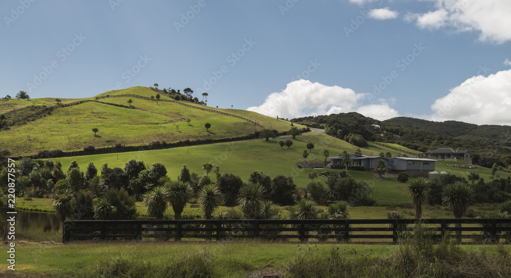 Rolling Landscape (NZ) 