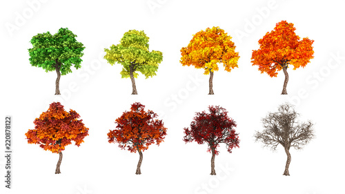 Autumn comes, the tree, the foliage falls. 3d illustration, 3d rendering. © Pierell