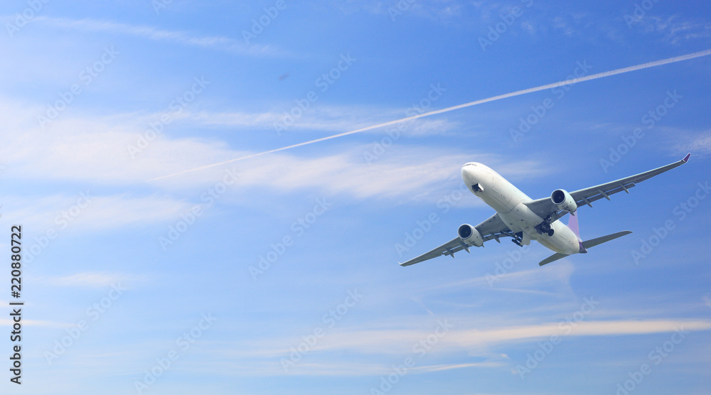 Obraz premium airplane on sky