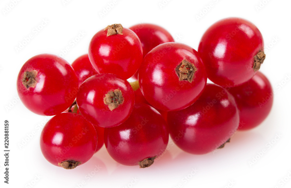 Red currant on white background Red currant on white background