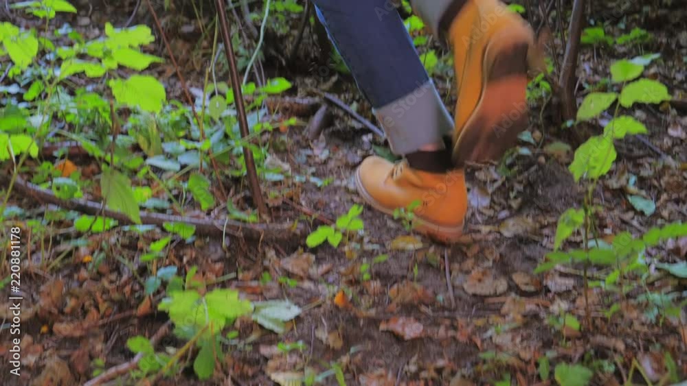 Rear view of tourist trekking in forest Rear view of tourist trekking in forest