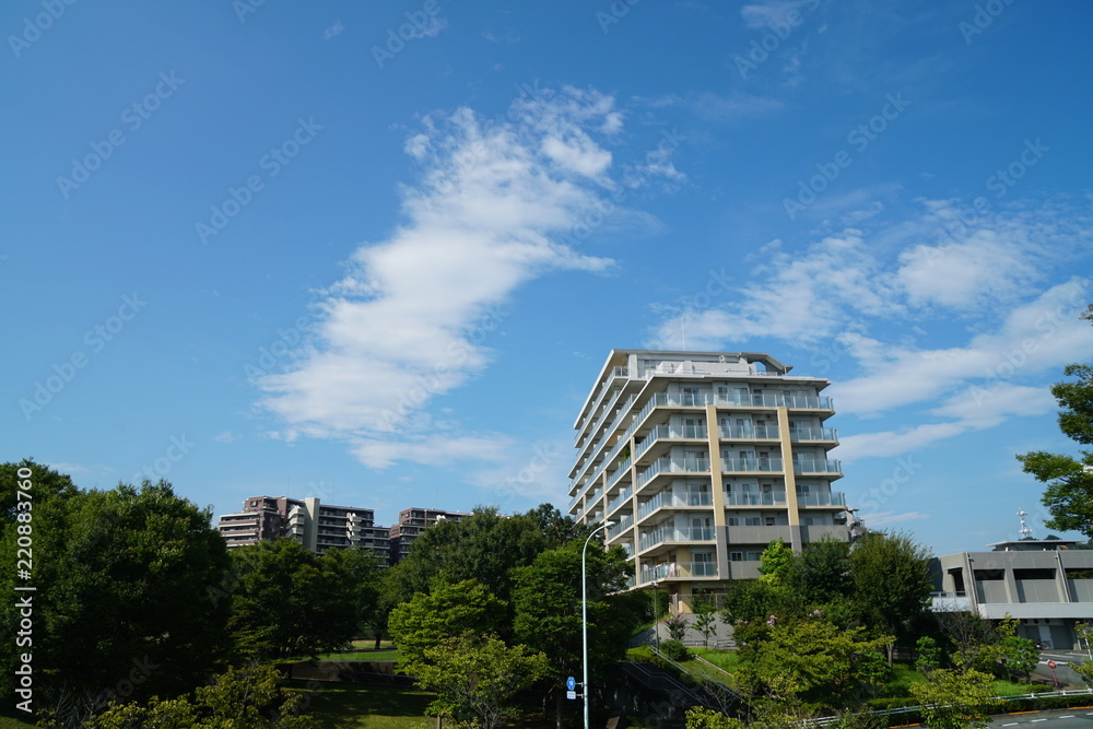 夏の青空