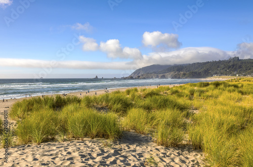 Canon Beach landscape and surf Oregon coast.