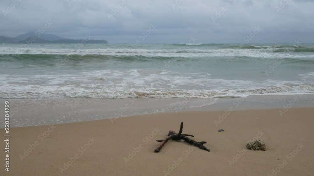 Beautiful sand beach with dead coral , dry branch tree  and soft wave in sea water , cloudy rainy sky day