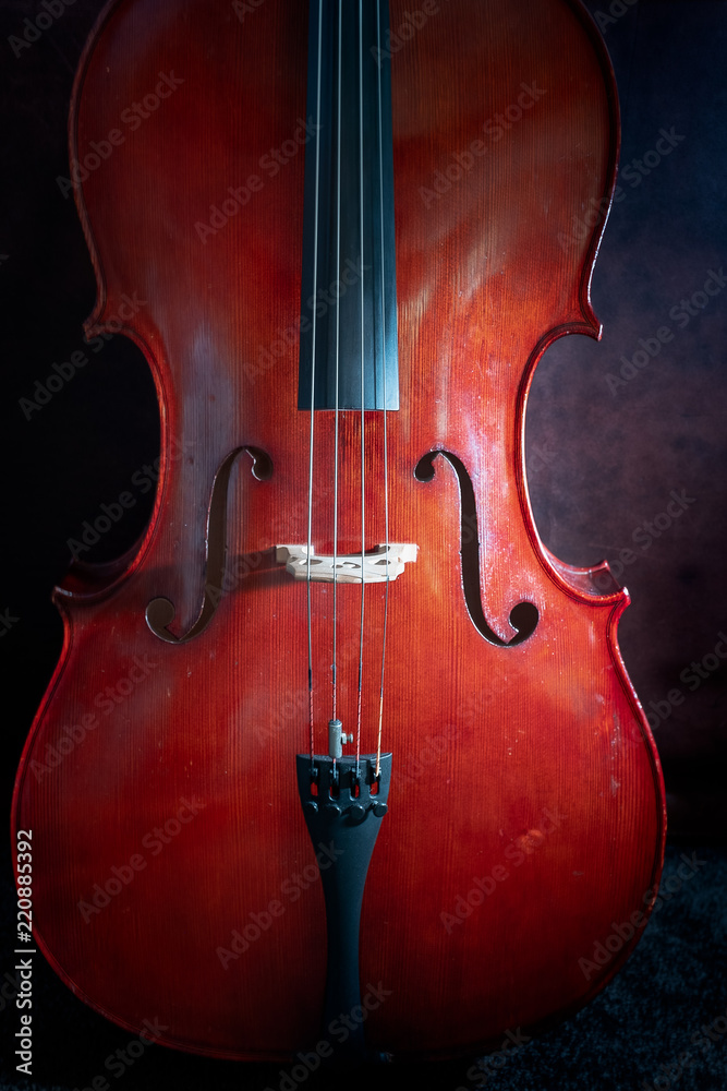 adult cello adult cello