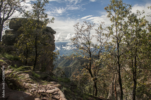 LA SIERRA TARAHUMARA CHIHUAHUA MEXICO