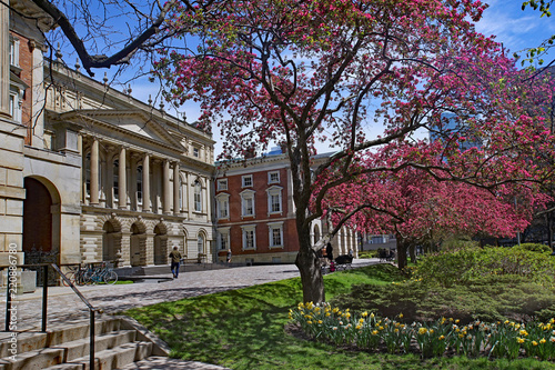 Toronto, historic Osgoode Hall Court House with flowering tree