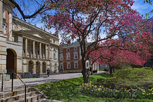 Photography Toronto, historic Osgoode Hall Court House with flowering tree