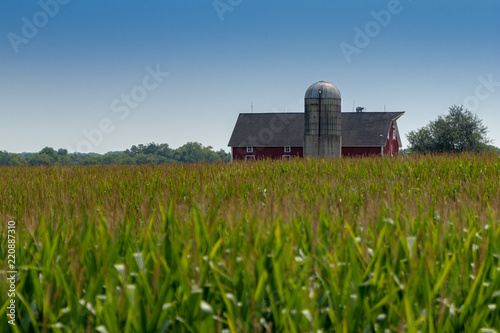 barn in a distance