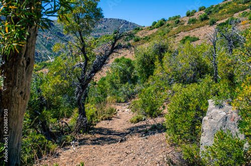 Coastal Range 