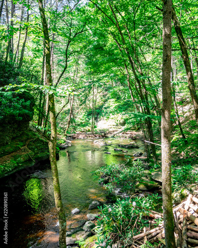 Nature In Pennsylvania