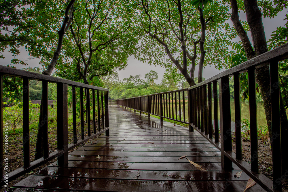 Background bridge, garden walk, amidst green nature, morning rains and partial water, cool and comfortable.