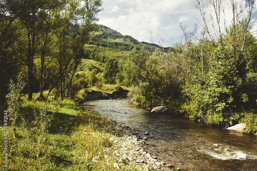 Fototapeta premium river