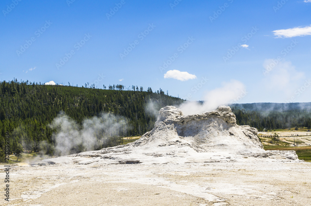 castle geyser in Yellowstone National park,usa.