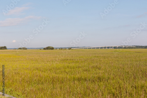 Field of green dune grass along with North Carolina coastline  with a bridge in the background