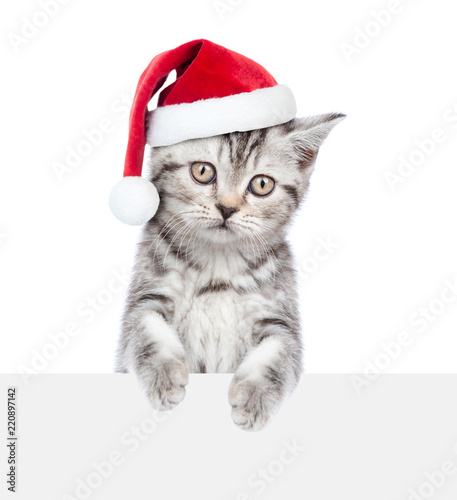 Kitten in red christmas hat peeking above white banner and looking at camera. Space for text. isolated on white background © Ermolaev Alexandr