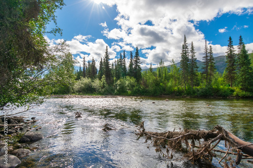 A Nice Place to Rest Along The Cassier Highway photo