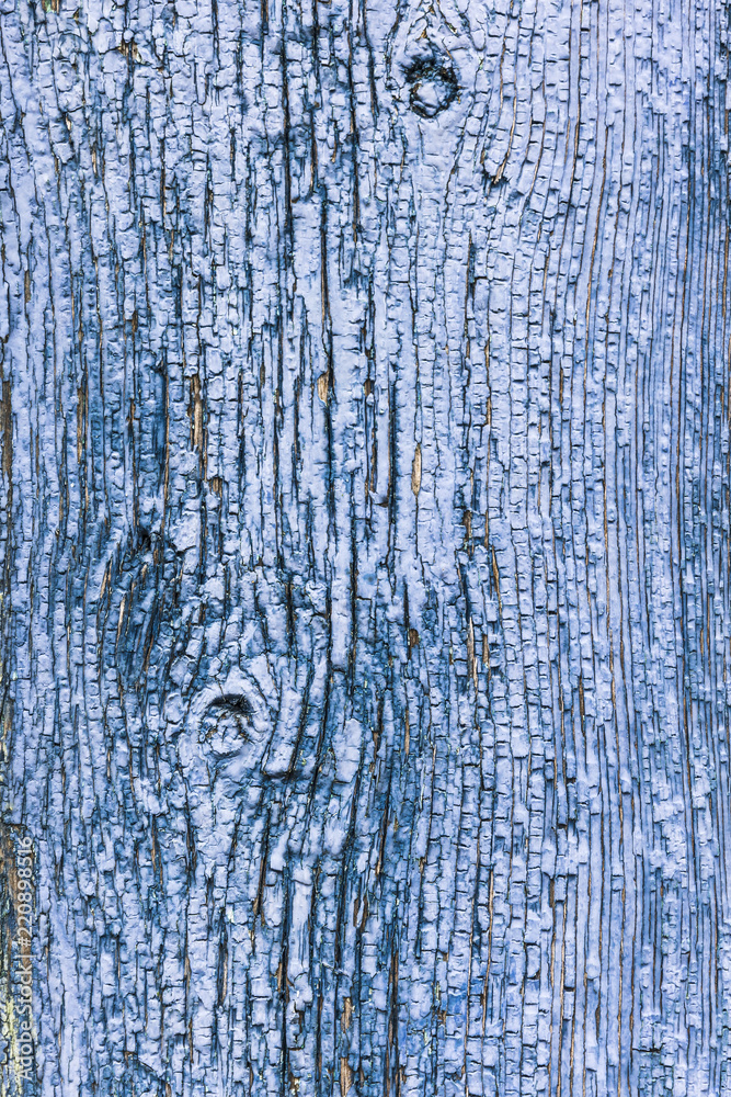 Obraz premium old wooden blue painted surface with faded and cracked paint