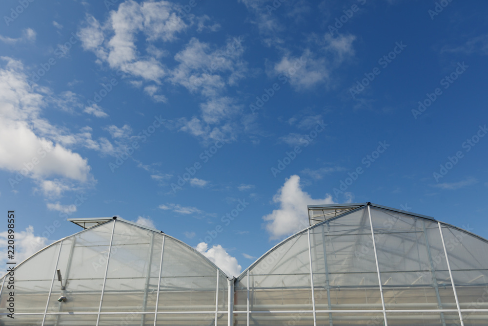 closeup of modern greenhouse complex against blue sky. wide angle view. closeup of modern greenhouse complex against blue sky. wide angle view.