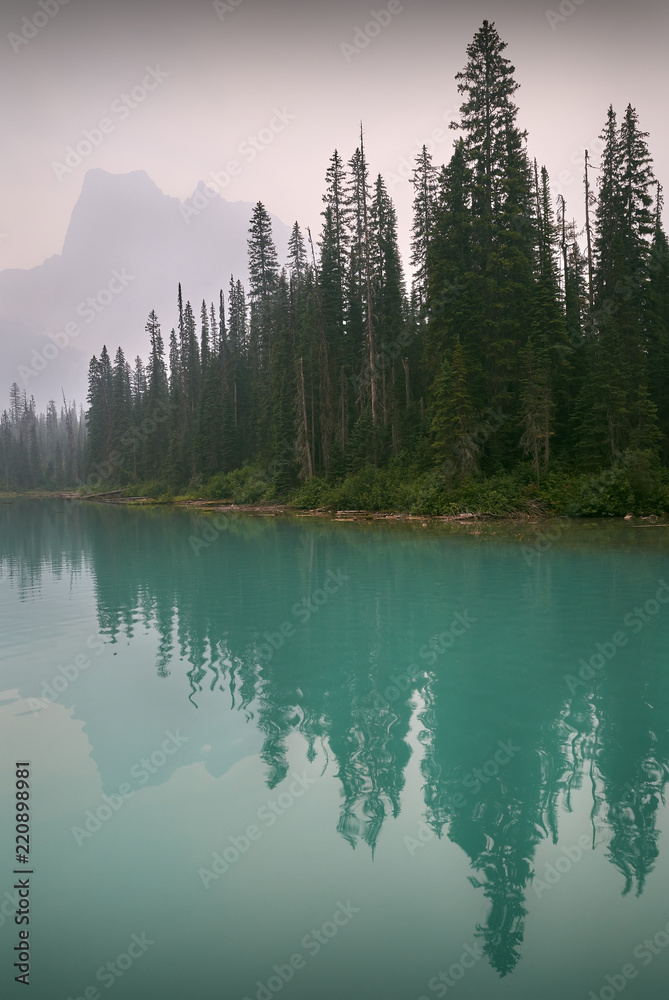 Emerald Lake, Yoho Park, Canada. A reflection of Burgess Mountain in the green water of Emerald lake, BC.

