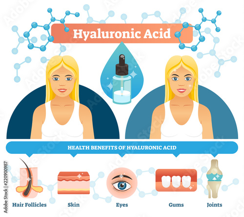 Hyaluronic acid vector illustration. Anti aging cell health benefits.