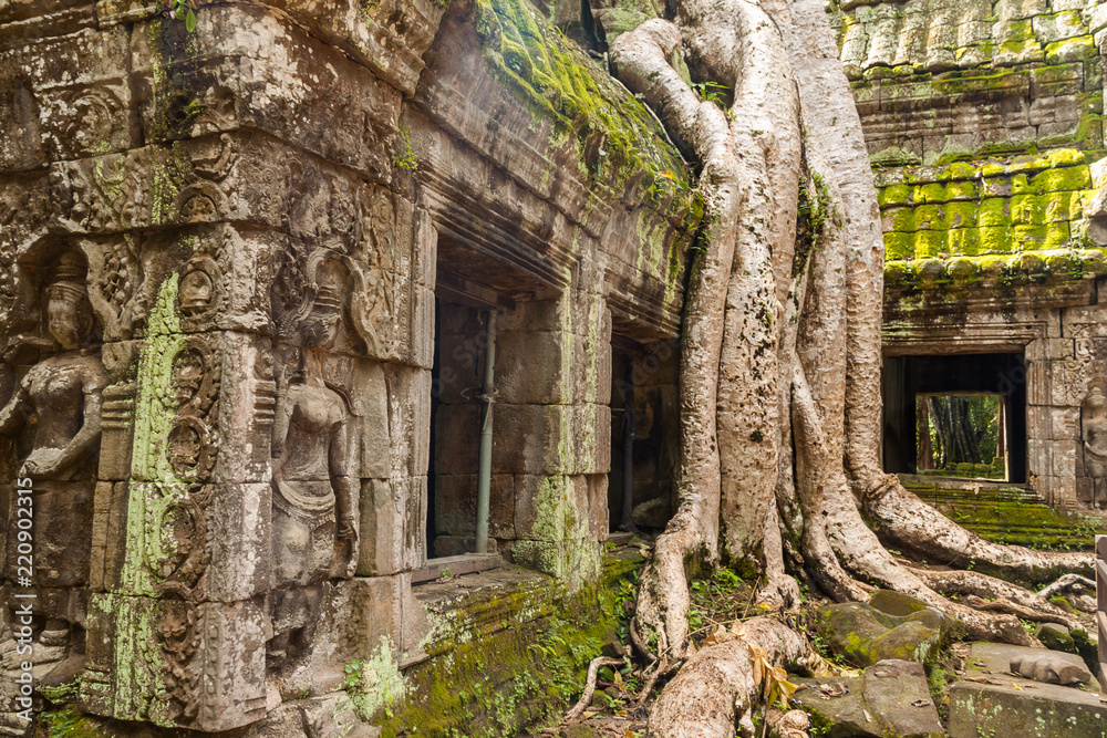 Naklejka premium Tree roots over temple (2)