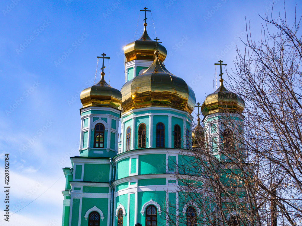 Obraz premium OLYMPUS DIGITAL CAMERA