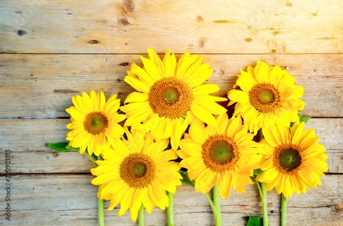 Grußkarte - Sonnenblumen