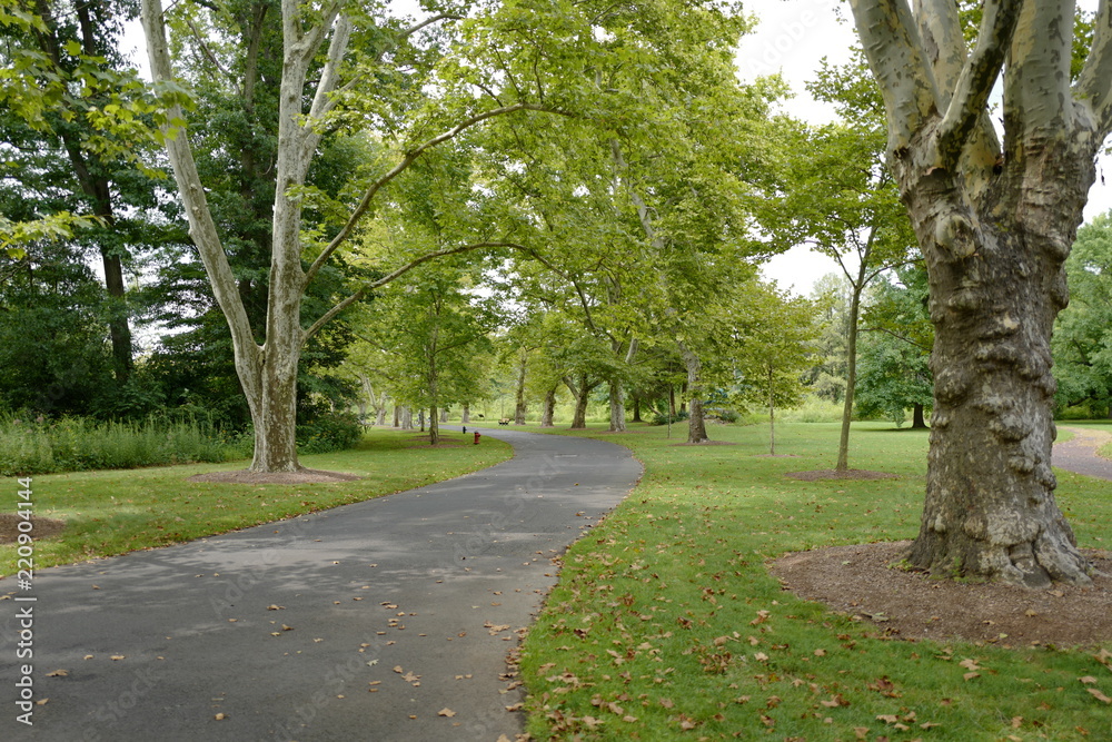 Parks Parks
