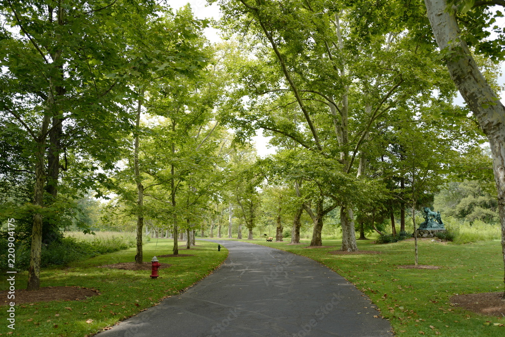 Parks Parks