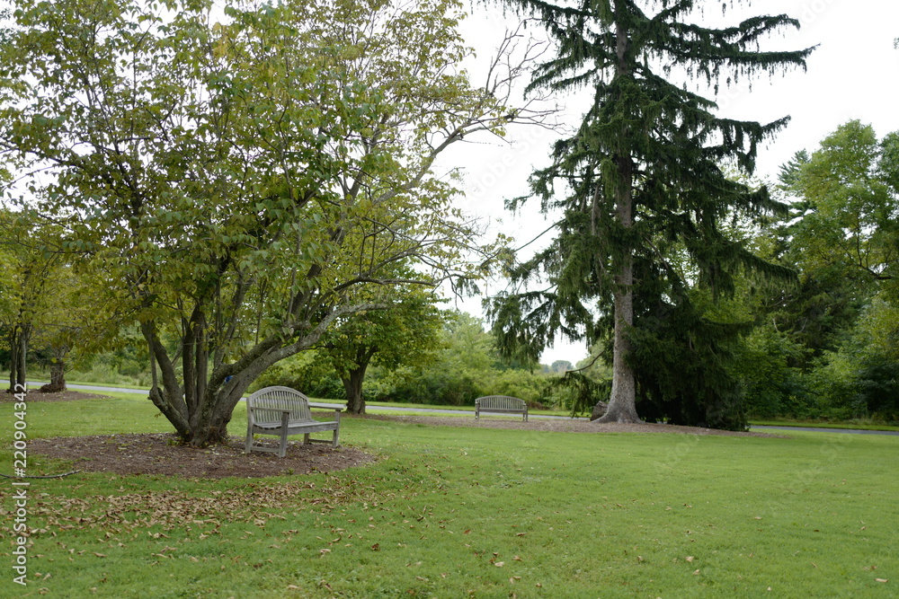 Obraz premium Parks