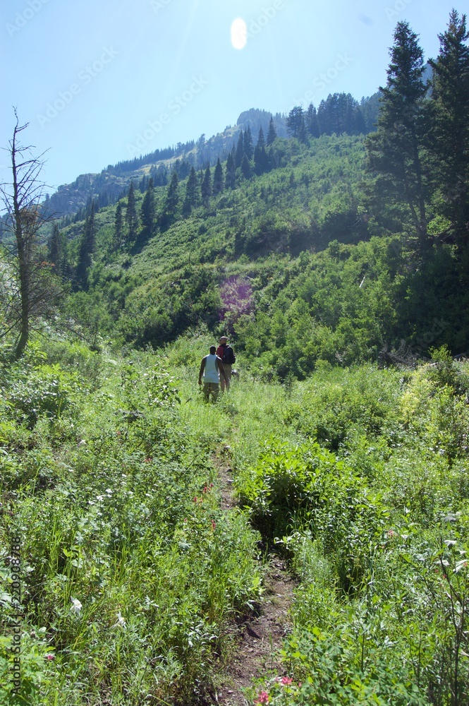 Nature, hiking, Idaho view