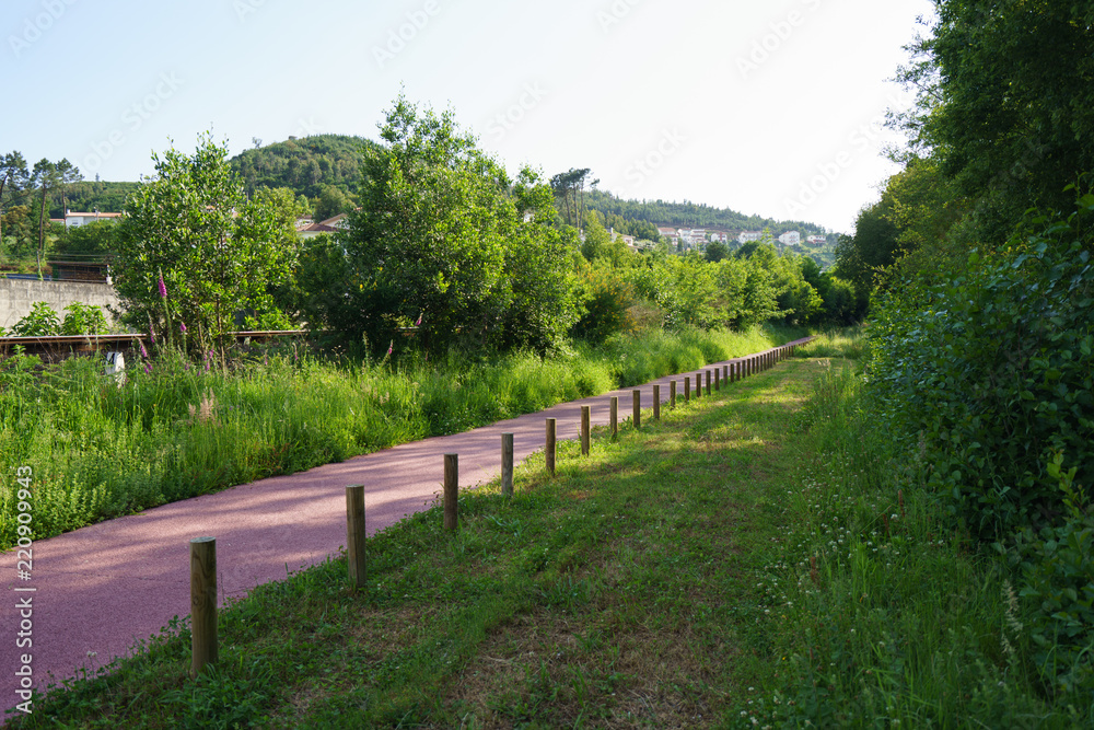 Bike path in the northern portuguese park