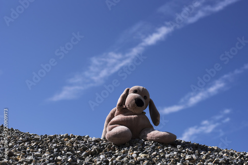 peluche abandonnée