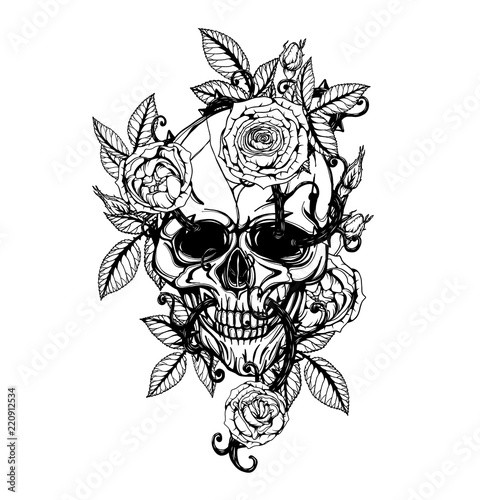 Skull with centifolia roses tattoo by hand drawing.Tattoo art highly detailed in japanese line art style.Black and white line art pattern for paint