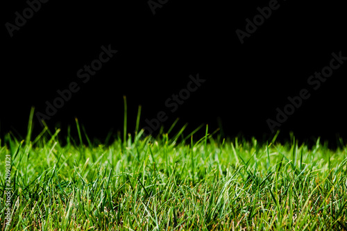 Background with green grass isolated on black background
