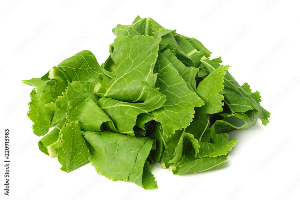 horseradish leaves isolated on a white background horseradish leaves isolated on a white background