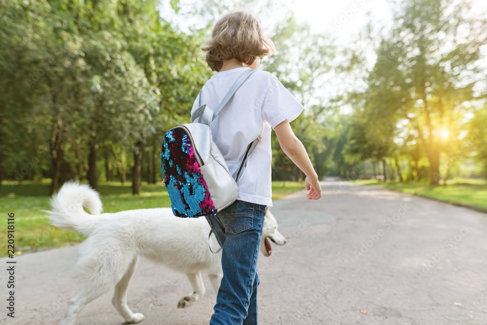 Little girl with a white husky dog walking down the road in the park.