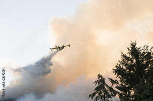 A water bomber aircraft, Canadair, flying over a wildfire in a pine forest photo