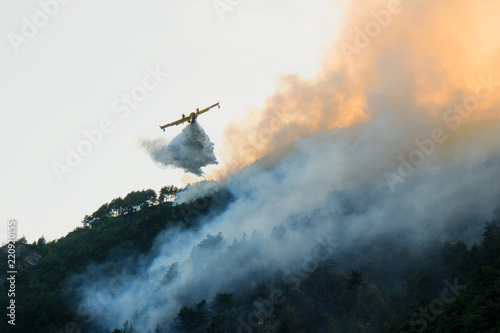 A water bomber aircraft, Canadair, flying over a wildfire in a pine forest photo