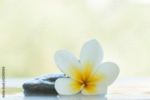 spa flower and stones for massage treatment outdoors