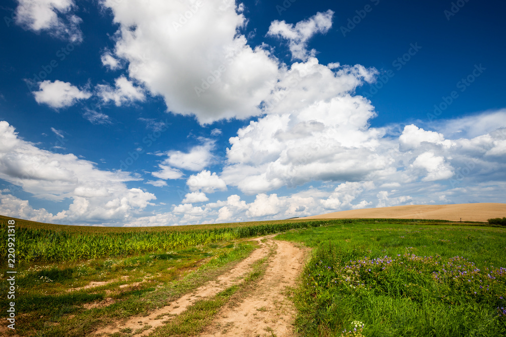 Obraz premium Long and winding rural road crosses the hills and fields