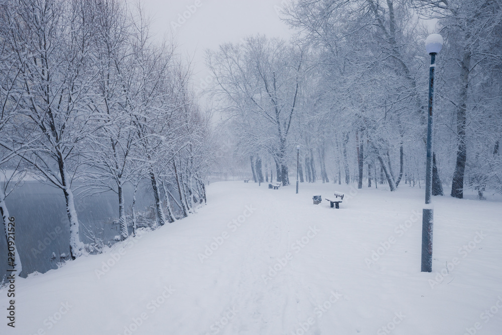 Trees covered with snow in winter snowy city park alley