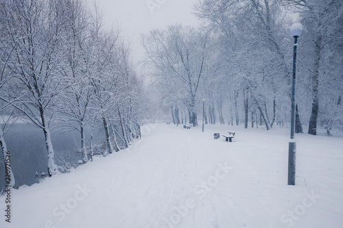 Trees covered with snow in winter snowy city park alley © Nickolay Khoroshkov