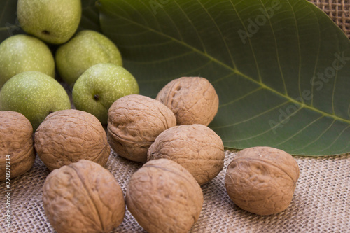Green and ripe walnuts